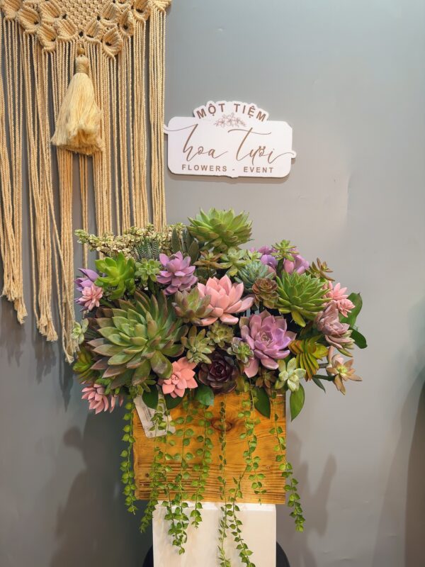 Giỏ hoa sen đá HSD07