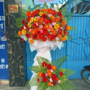 Kệ Chúc Mừng K12