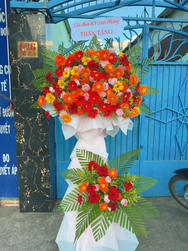 Kệ Chúc Mừng K12