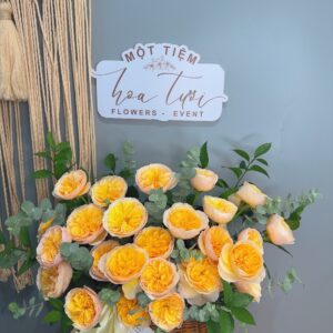 z4866875682846 4023730e6ba970383da5c84d326880f9