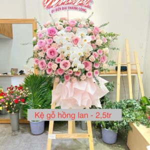 Kệ chúc mừng K31