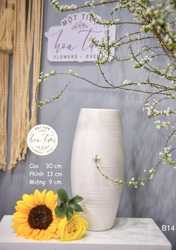 Bình gốm B14