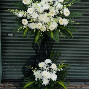 0d533a741c40bc1ee55130