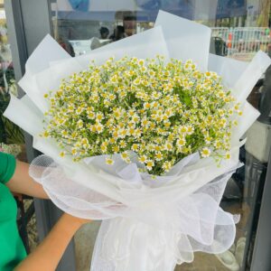 47a9999d9d583d0664491