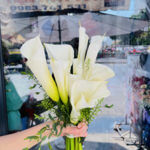 56356e1fa1d8018658c968