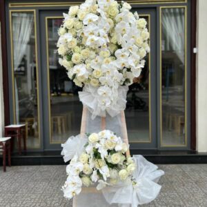 79678e46276d8733de7c49