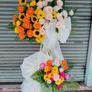 8a67900752c0f29eabd159