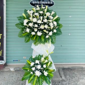 9a0b8e05a831086f512036