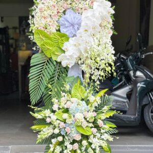 cfb5f7015f2aff74a63b3