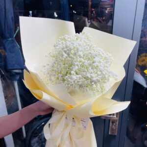 dfb4907d1840b81ee151