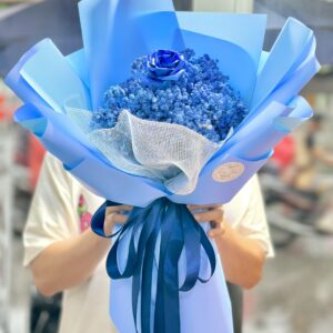 184fef8d3263923dcb721