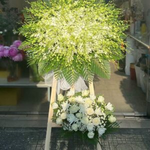 6f393cfad924797a203535