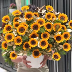 db275c6eb9b019ee40a120