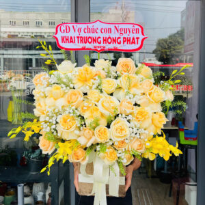 Chậu lan Hồ Điệp HD08