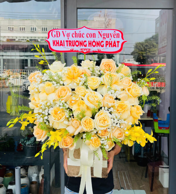 Chậu lan Hồ Điệp HD08
