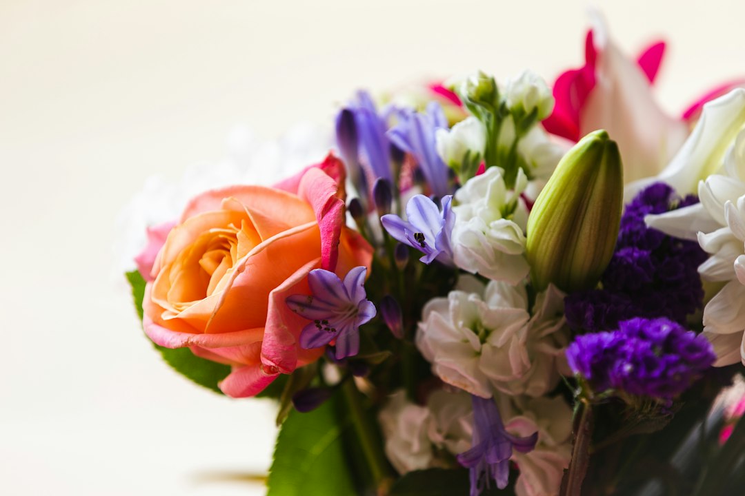 hoa tặng sinh nhật - bouquet of flowers (Unsplash: James Coleman)